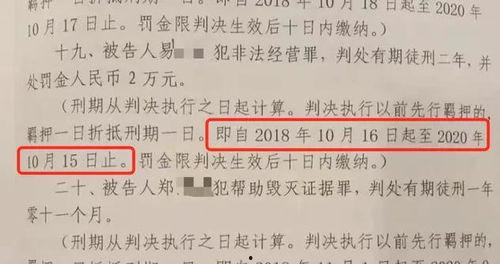 新闻爆料南阳最新消息视频,视频揭秘城市动态与热点事件