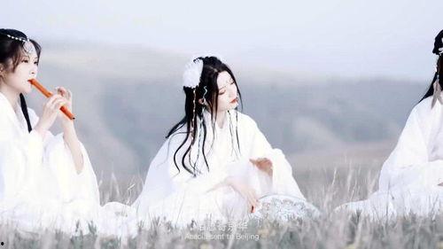 最新爆料古风歌曲,揭秘古风歌曲背后的传奇故事