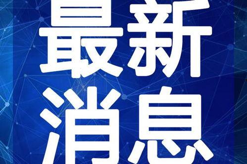 仙桃最新爆料新闻视频大全,视频大全揭秘城市热点事件