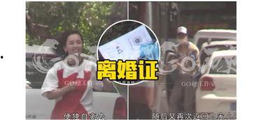 名星热点爆料最新消息今天,今日热点爆料，揭秘娱乐圈最新动态